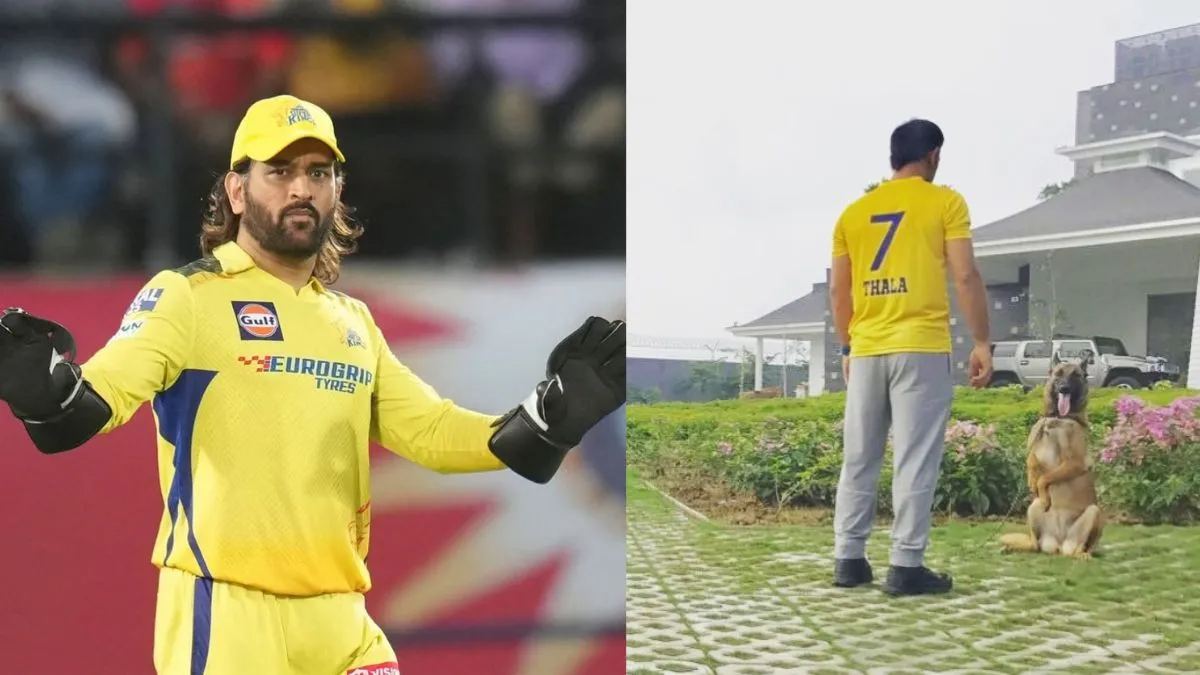 करोड़ों नहीं अरबों में खेलते हैं MS Dhoni? जानिए कितनी है धोनी की कुल संपत्ति, कितना है उनकी सालाना इनकम