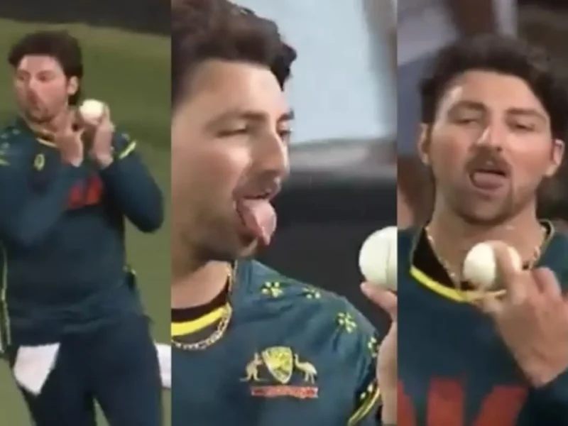 Tim David on Suryakumar Yadav Catch