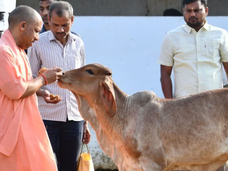 गौ सेवा