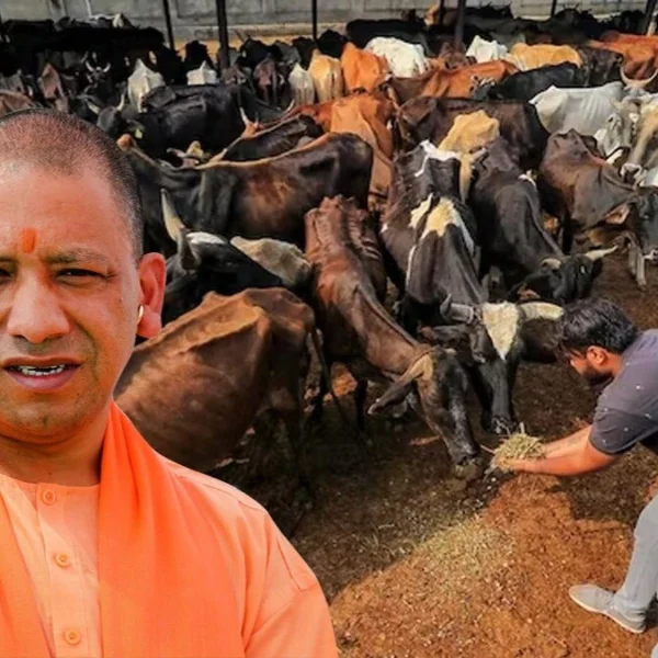 मिनी नंदिनी कृषक समृद्धि योजना से बदलेगी किसानों की किस्मत, मुख्यमंत्री योगी आदित्यनाथ ने पशुपालन को बढ़ावा देने के लिए बनाई ये योजना