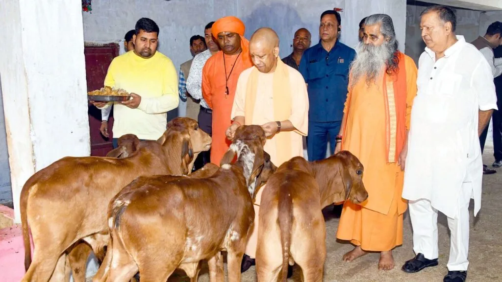 Yogi Adityanath Cow Shelters