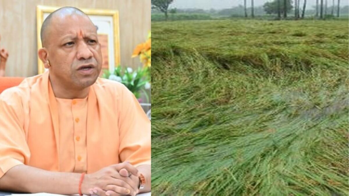 YOGI ADITYANATH CM UTTAR PRADESH