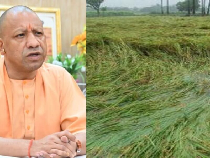 बेमौसम बारिश से फसलें प्रभावित, सीएम योगी ने दिए नुकसान आकलन और त्वरित मुआवजे के निर्देश