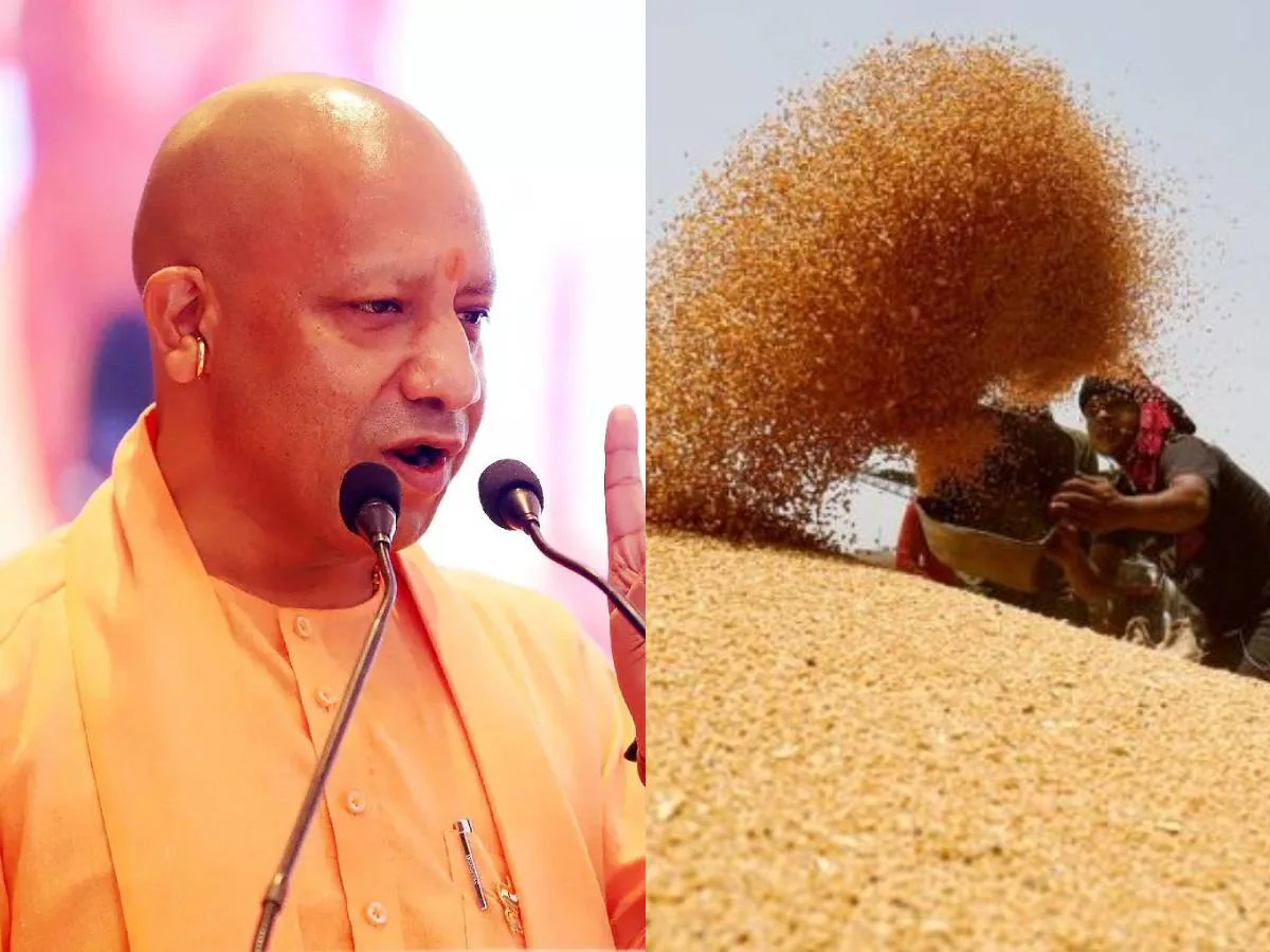 किसानों के लिए बड़ी राहत, योगी सरकार ने बढ़ाए MSP रेट, अब इतने रूपये क्विंटल बिकेंगे गेहूं