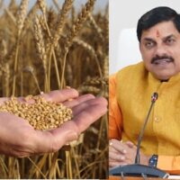 मोहन यादव की मांग पर बढ़ा गेहूं खरीदी कोटा, किसानों को बड़ी राहत