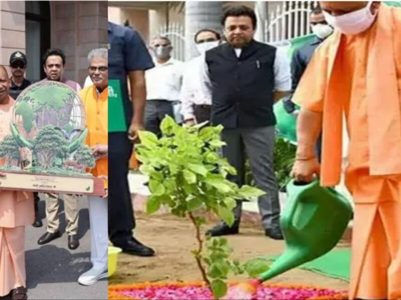 Yogi Adityanath Plant