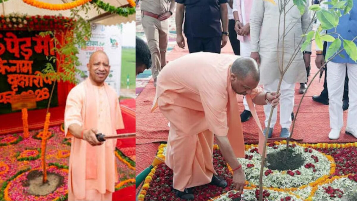 Yogi Adityanath Planting