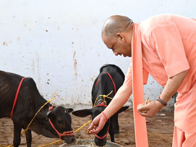 मौलाना के गाय को पशु कहने पर भड़के सीएम योगी, कहा “गाय हमारी माता है, सिर्फ राष्ट्रीय पशु नहीं”