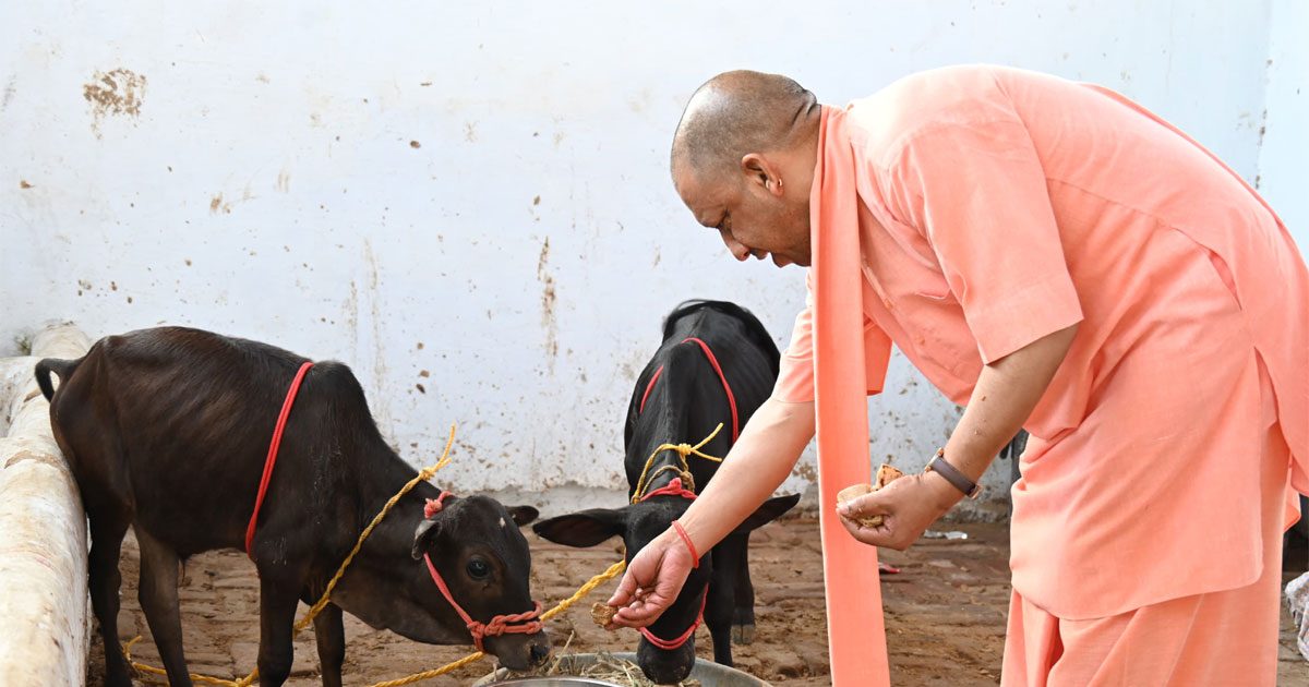मौलाना के गाय को पशु कहने पर भड़के सीएम योगी, कहा "गाय हमारी माता है, सिर्फ राष्ट्रीय पशु नहीं"
