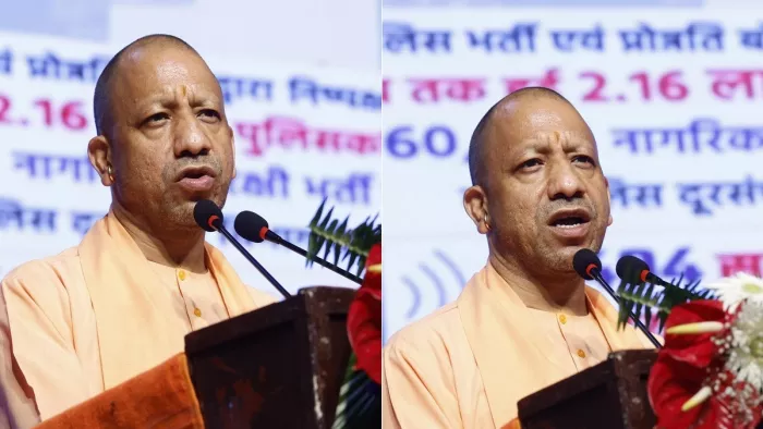 yogi on sp