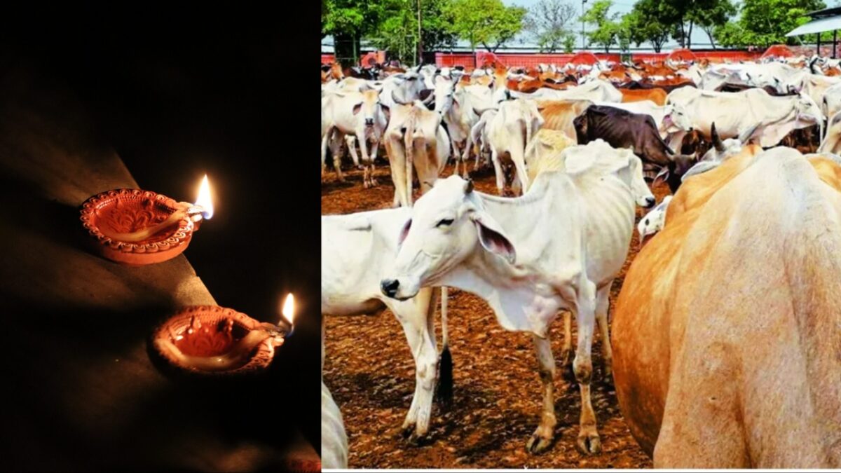 Govansh Diwali
