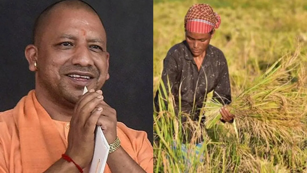 Yogi Sarkar Paddy